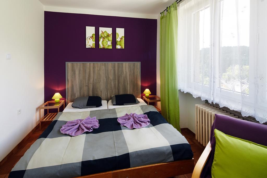 Pension U Slunce Janske Lazne Room photo